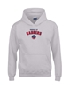 Picture of Property Of Rangers Youth Hooded Sweatshirt